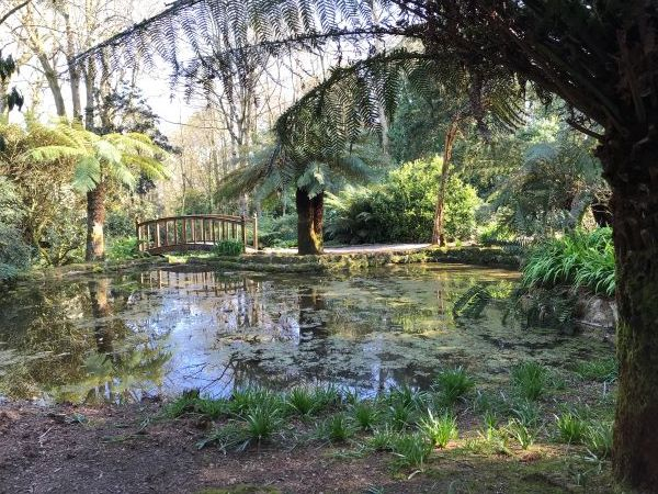 'Tranquility' by Richard Mathews of Burnham-on-Sea u3a