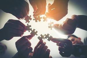 An Update from the IGO Group Leaders' Meeting