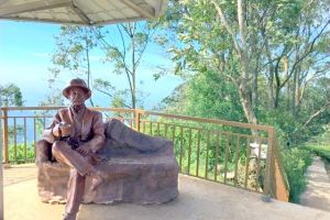 Niche and Unusual online learning talks