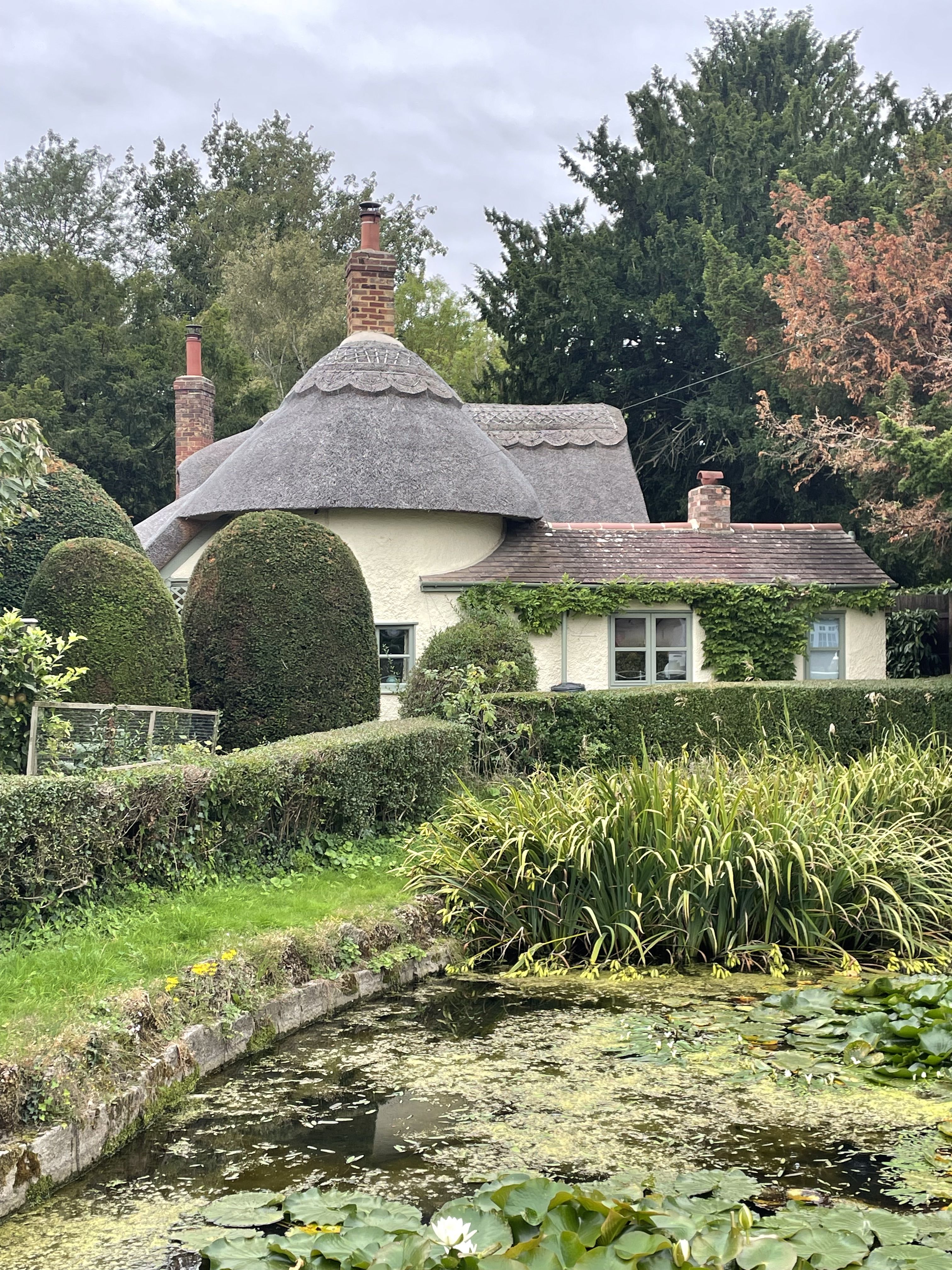 thatched cottage in background, lily covered pond and hedges in the foreground