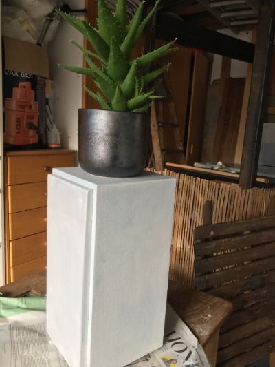 plant standing on a white plinth, plinth was once a speaker