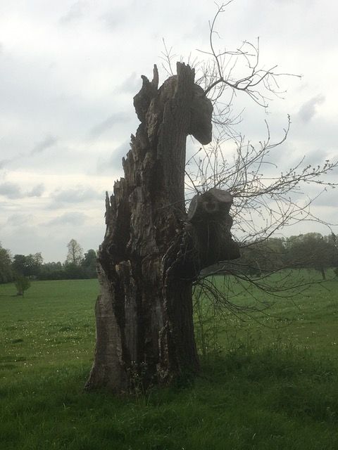 a tree stump in the shape of a horse. cloudy sky. 