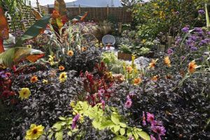 Southport u3a to build a show garden at Southport Flower Show