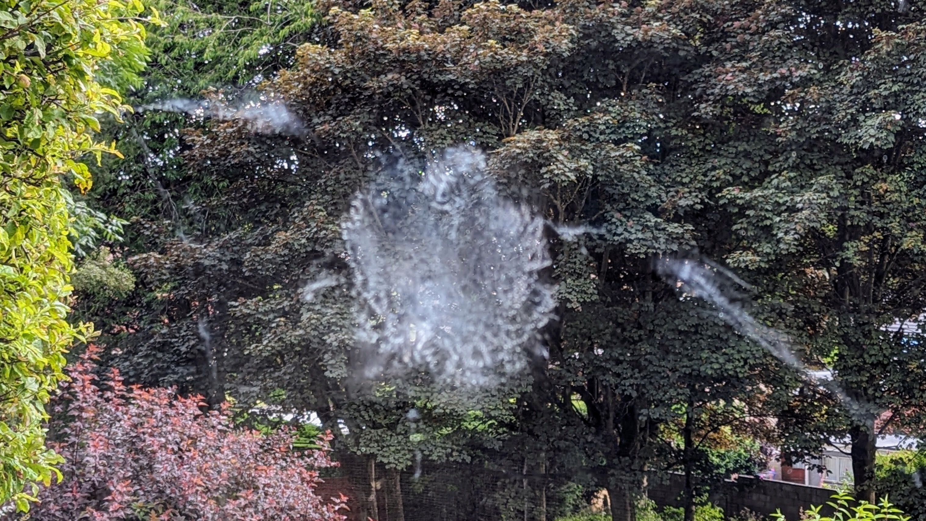 a smatter of white mark on the window, trees behind it