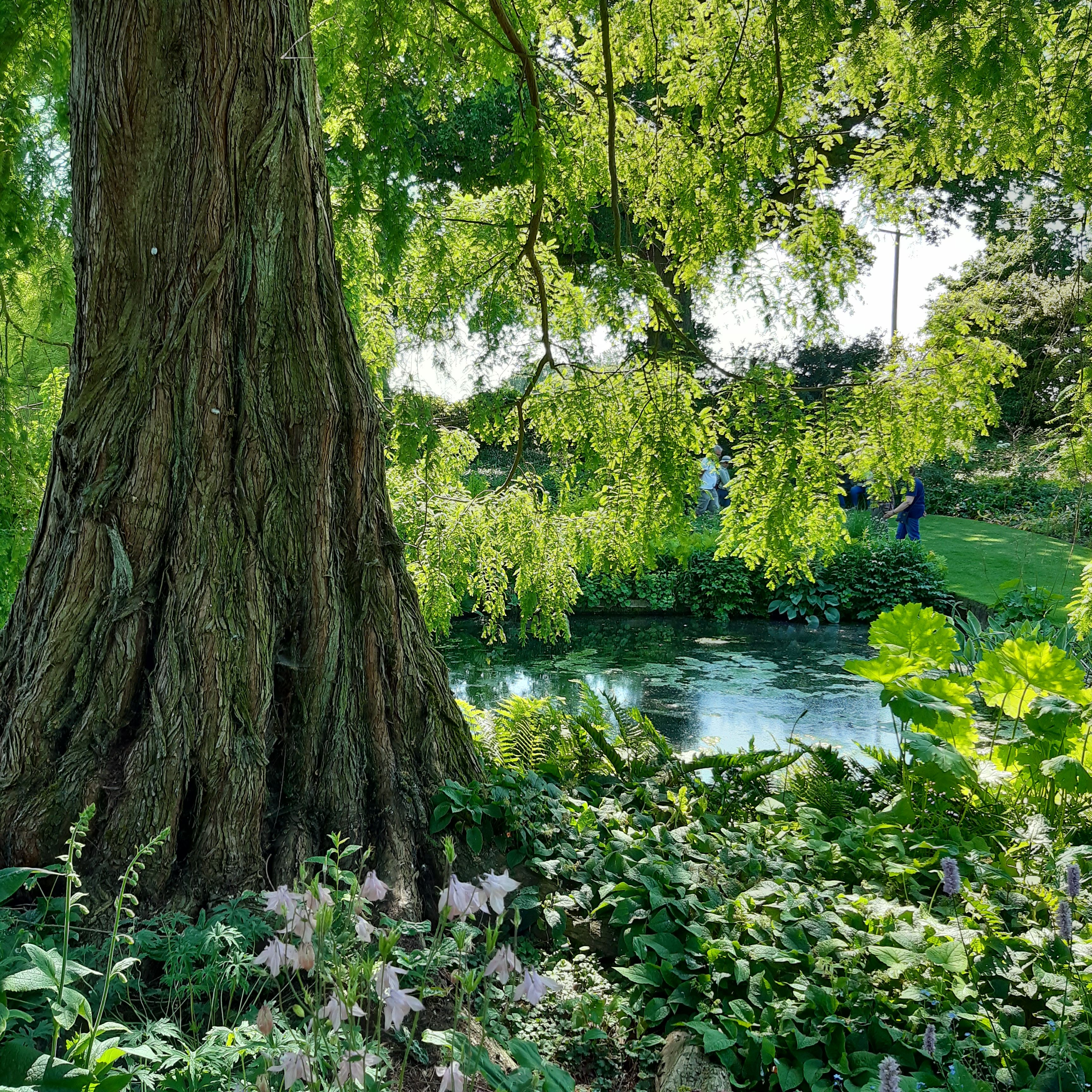 an idyllic scene with a tree on the left and water in the background. lush green flowers and foliage all around. 