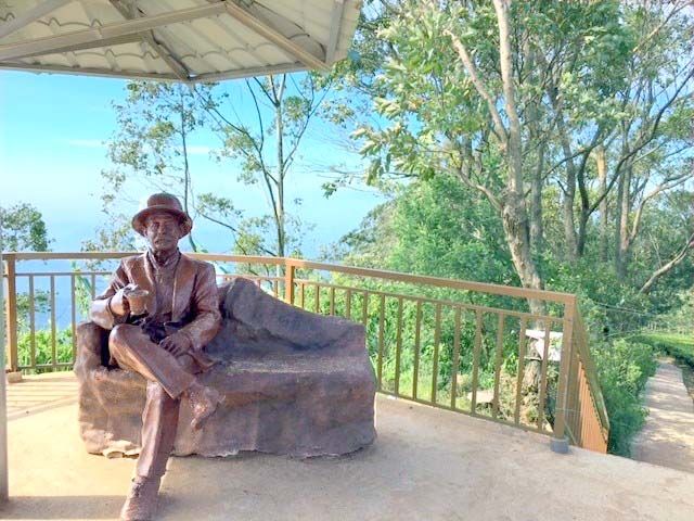 Niche and Unusual online learning talks