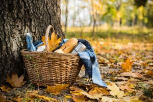 A picnic hamper outside in autumn