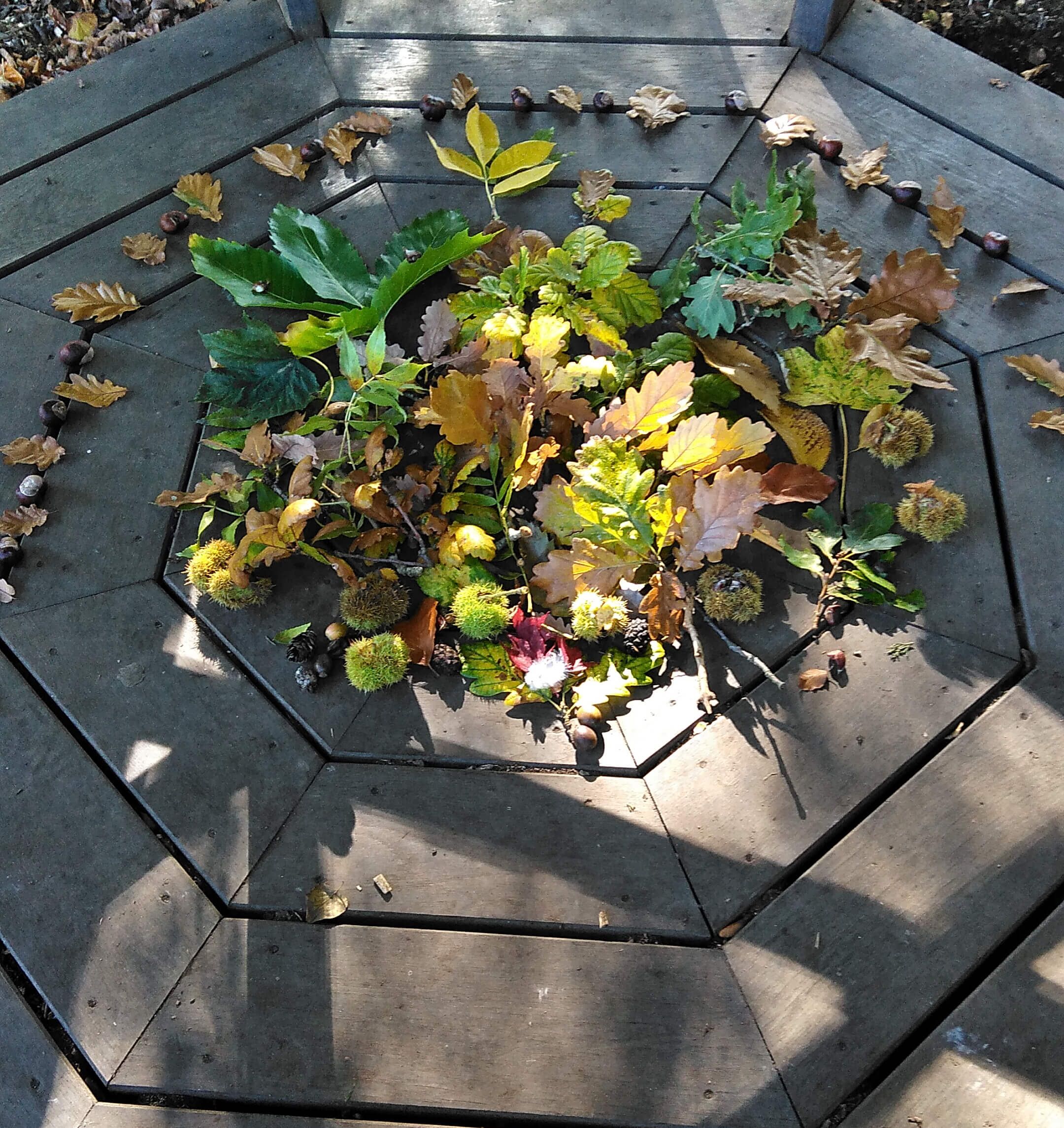 Autumn leaves arranged on a table. The colours of the leaves are primarily green, brown and yellow. 